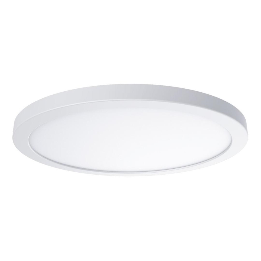 LED stropné svietidlo EVORA LED/24W/230V 3000/4000/6000K pr. 30 cm biela