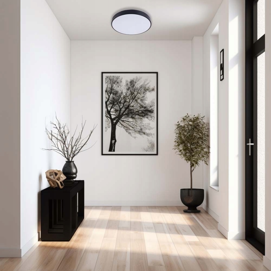 LED Stropné svietidlo FELIZ LED/30W/230V 4000K pr. 30 cm čierna