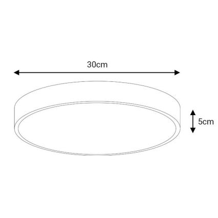 LED Stropné svietidlo FELIZ LED/30W/230V 4000K pr. 30 cm čierna