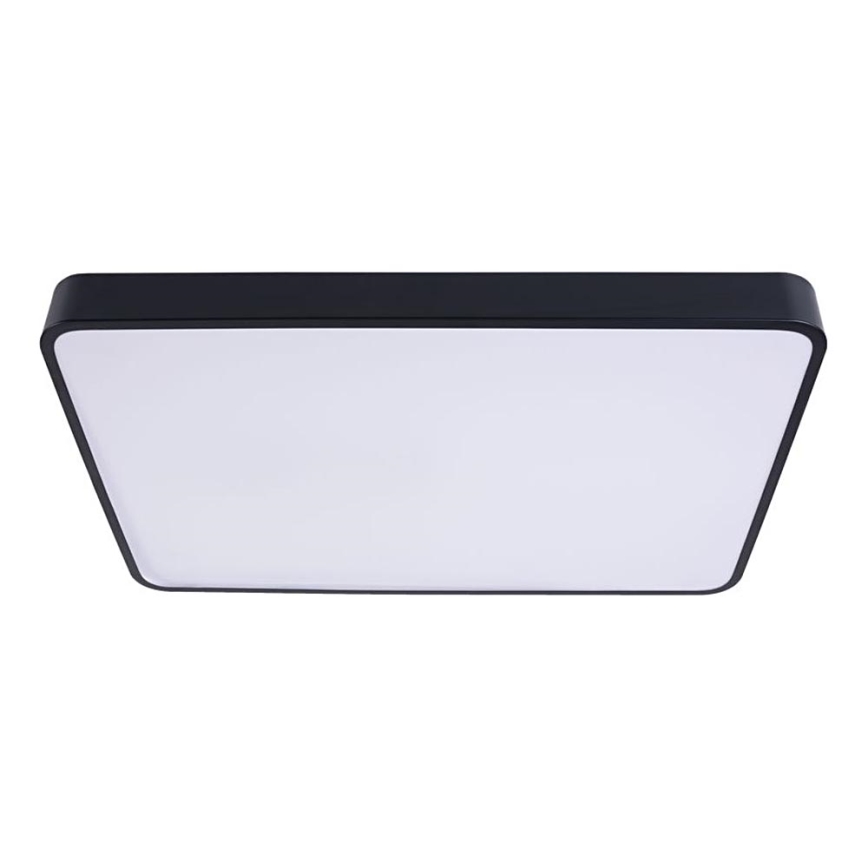 LED Stropné svietidlo FELIZ LED/40W/230V 4000K 40x40 cm čierna