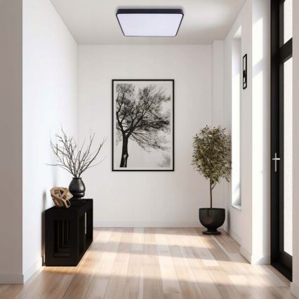 LED Stropné svietidlo FELIZ LED/40W/230V 4000K 40x40 cm čierna
