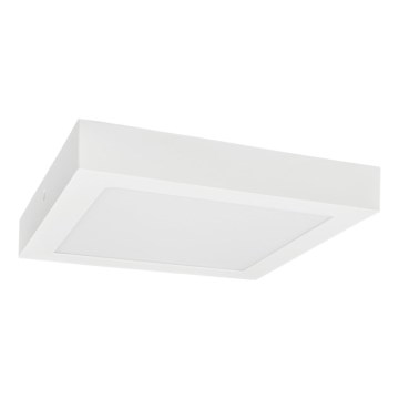 LED Stropné svietidlo FENIX LED/12W/230V 3800K 17 cm snehovo biela