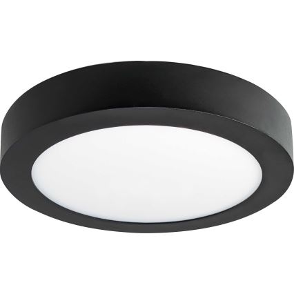 LED Stropné svietidlo FENIX LED/12W/230V 3800K pr. 17 cm