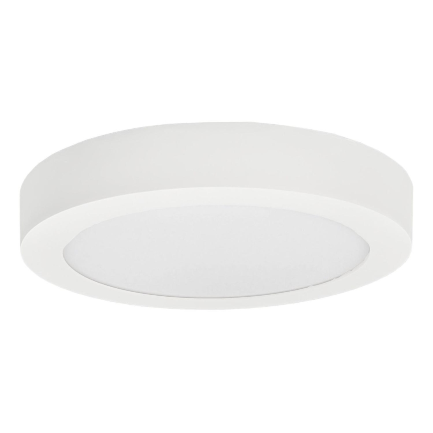 LED Stropné svietidlo FENIX LED/12W/230V 3800K pr. 17 cm snehovo biela