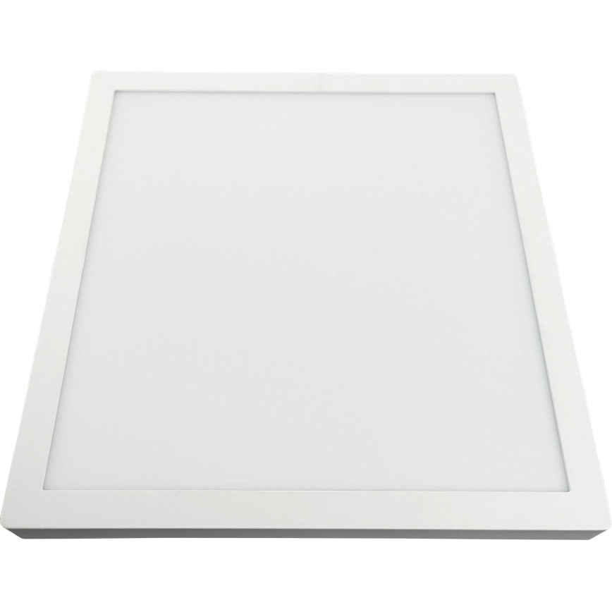 LED Stropné svietidlo FENIX LED/32W/230V 3800K 40 cm snehovo biela