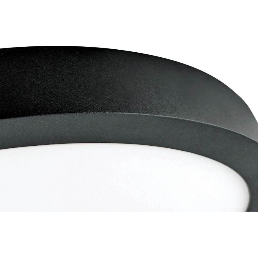 LED Stropné svietidlo FENIX LED/32W/230V 3800K pr. 40 cm