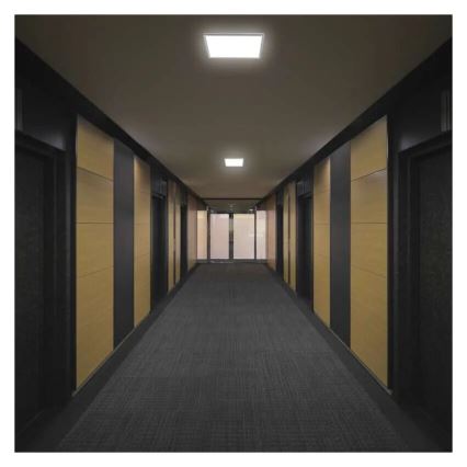 LED Stropné svietidlo FLORI LED/18W/230V 4000K biela 29x29 cm