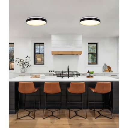 LED Stropné svietidlo FLORIDA LED/18W/230V čierna