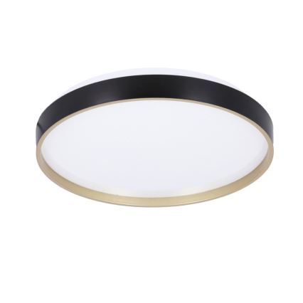 LED Stropné svietidlo FLORIDA LED/18W/230V čierna