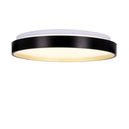 LED Stropné svietidlo FLORIDA LED/18W/230V čierna