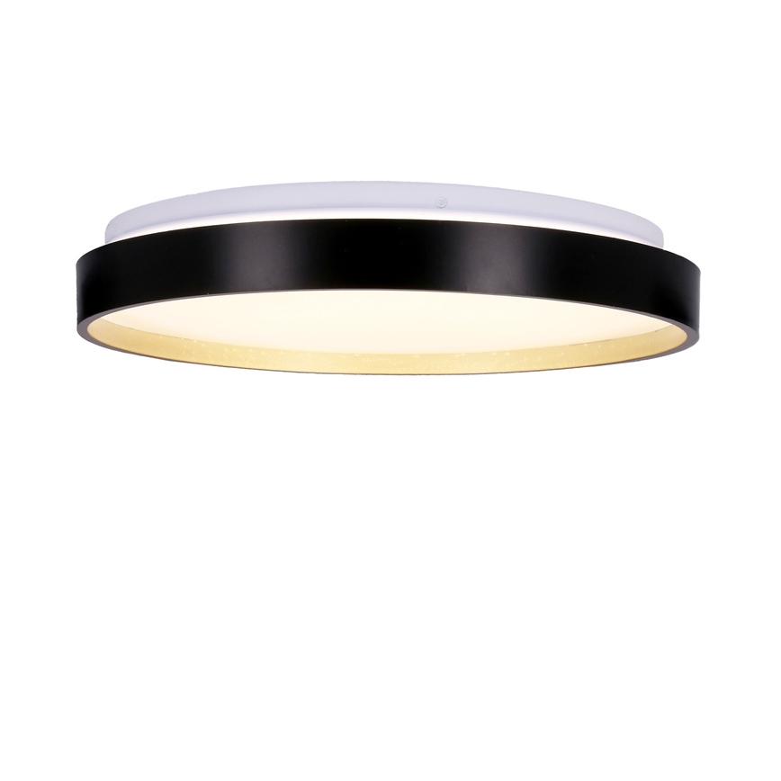 LED Stropné svietidlo FLORIDA LED/18W/230V čierna