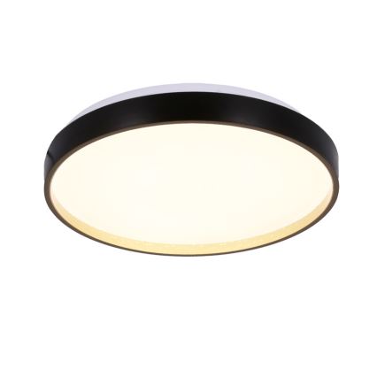 LED Stropné svietidlo FLORIDA LED/18W/230V čierna