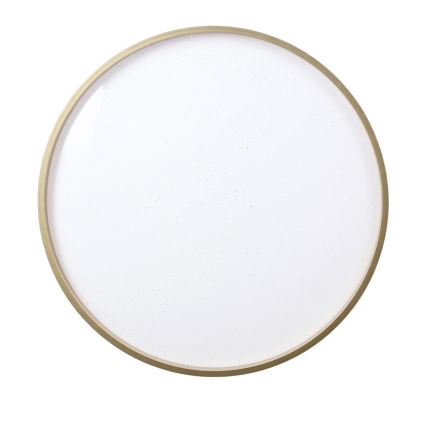 LED Stropné svietidlo FLORIDA LED/18W/230V čierna