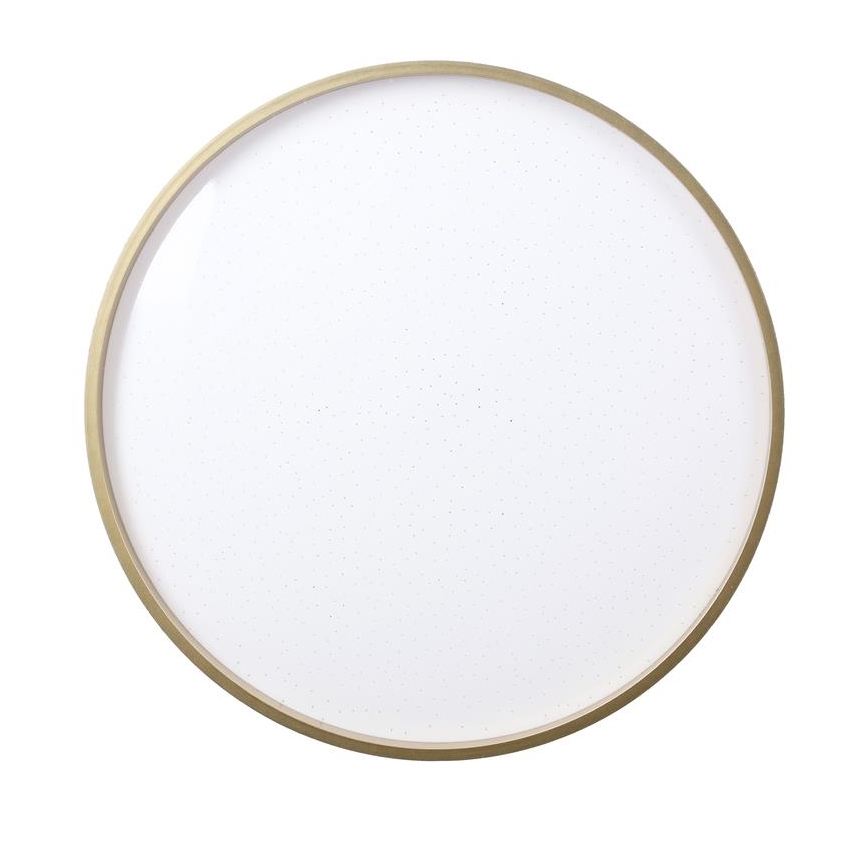 LED Stropné svietidlo FLORIDA LED/18W/230V čierna