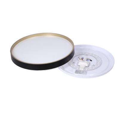 LED Stropné svietidlo FLORIDA LED/18W/230V čierna
