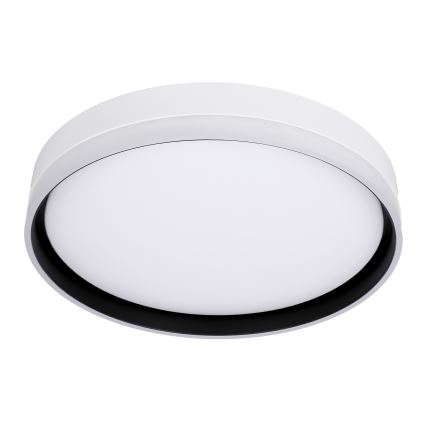 LED Stropné svietidlo FLORIDA LED/24W/230V biela