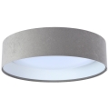 LED Stropné svietidlo GALAXY 1xLED/24W/230V pr. 44 cm šedá/biela