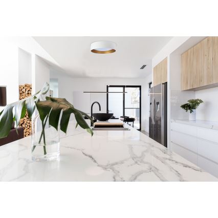 LED stropné svietidlo GALAXY LED/24W/230V pr. 44 cm biela/zlatá