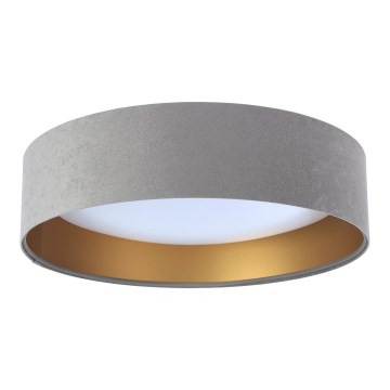 LED stropné svietidlo GALAXY LED/24W/230V priemer 44 cm sivá/zlatá