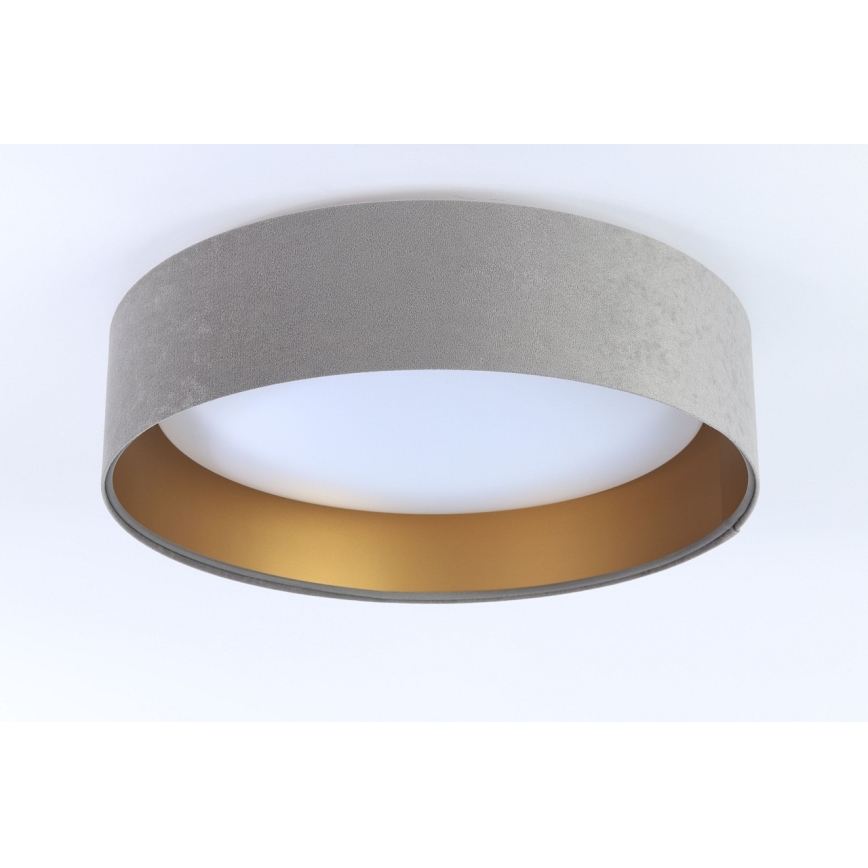 LED stropné svietidlo GALAXY LED/24W/230V pr. 44 cm sivá/zlatá