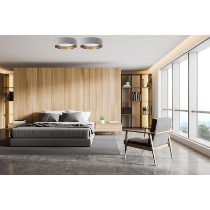 LED stropné svietidlo GALAXY LED/24W/230V pr. 44 cm sivá/zlatá