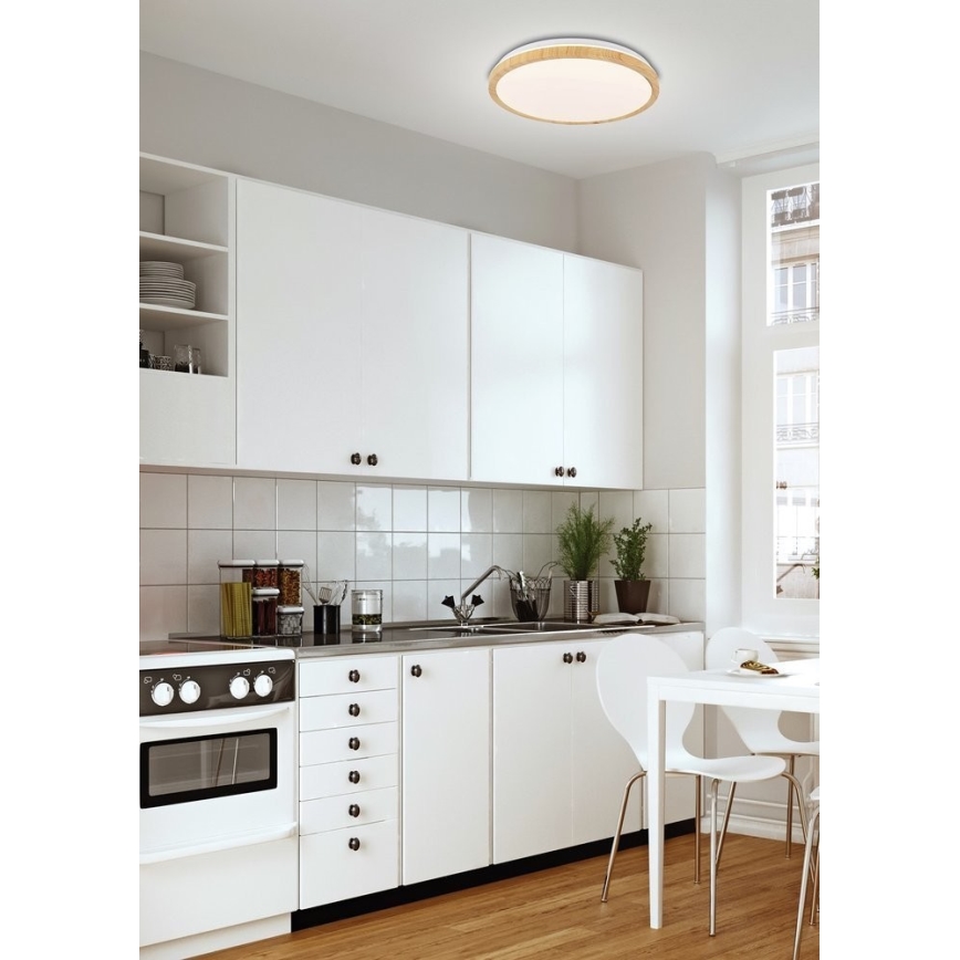 LED Stropné svietidlo GANDAVA LED/24W/230V