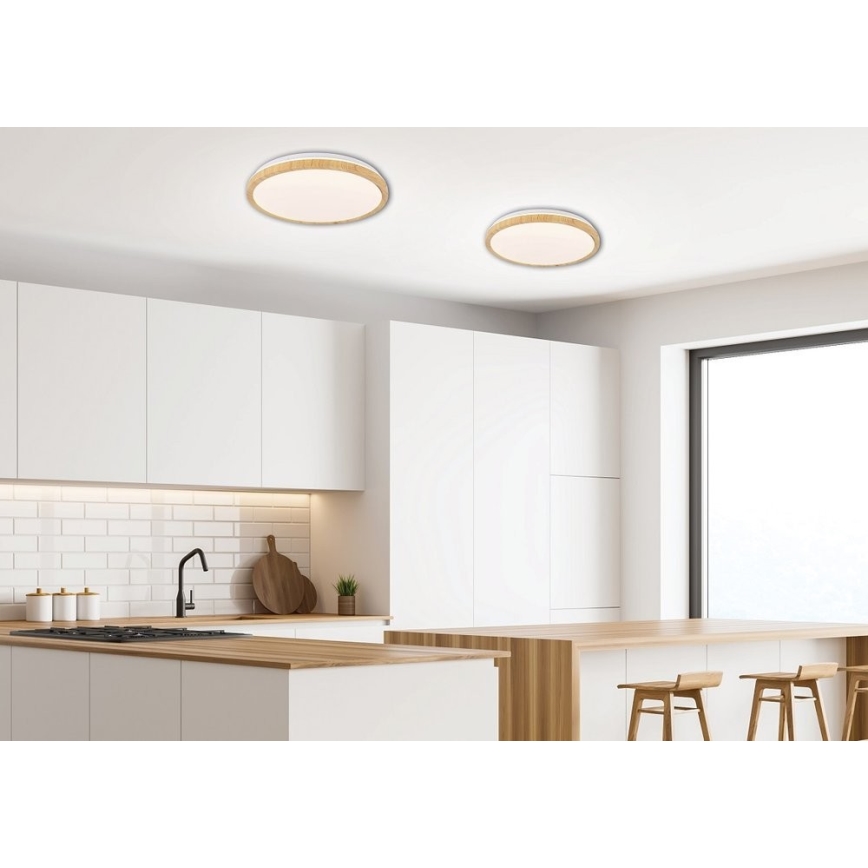 LED Stropné svietidlo GANDAVA LED/24W/230V