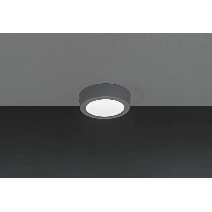 LED Stropné svietidlo GERRIT LED/6W/230V 4000K