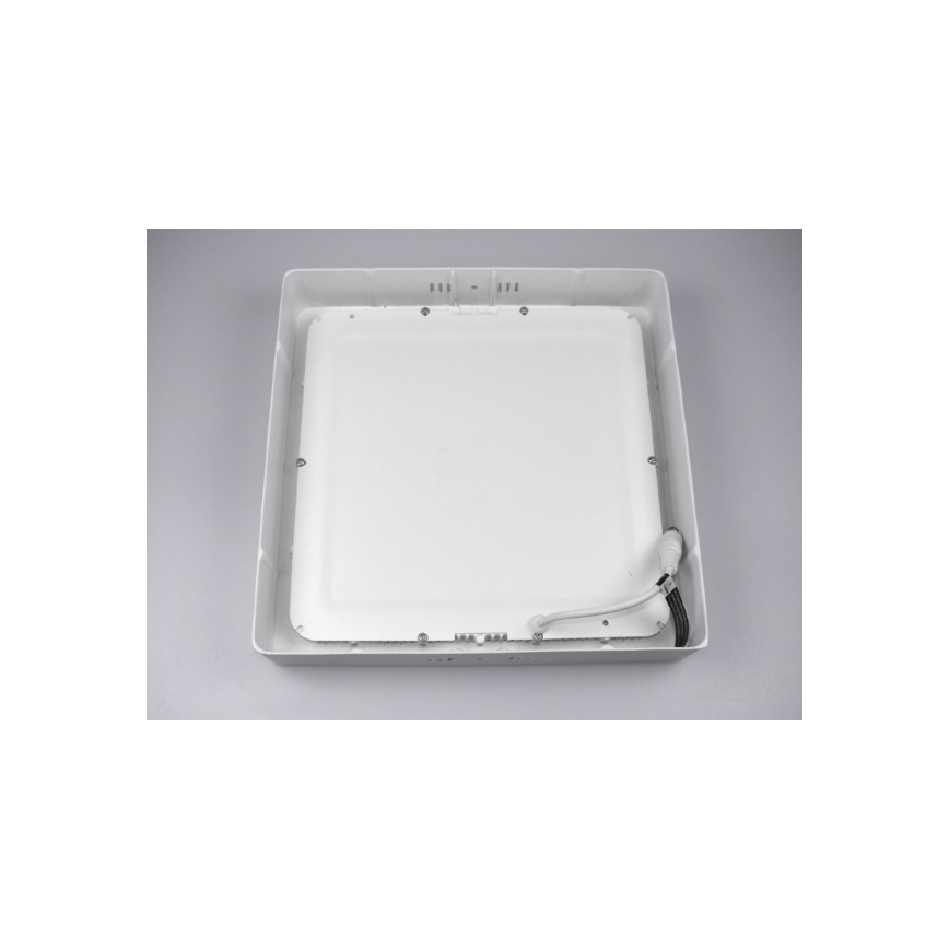 LED Stropné svietidlo GERRY LED/18W/230V 4000K biela