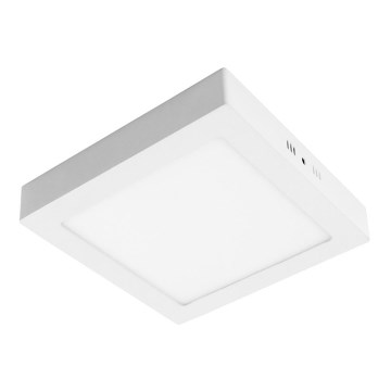 LED Stropné svietidlo GERRY LED/24W/230V 3000K