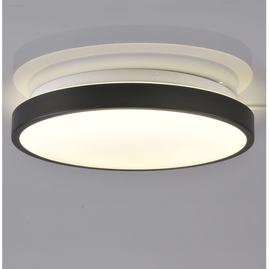 LED Stropné svietidlo KERN LED/15W/230V čierna