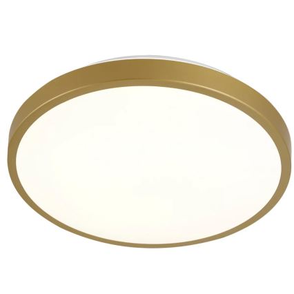 LED Stropné svietidlo KERN LED/15W/230V pr. 29 cm