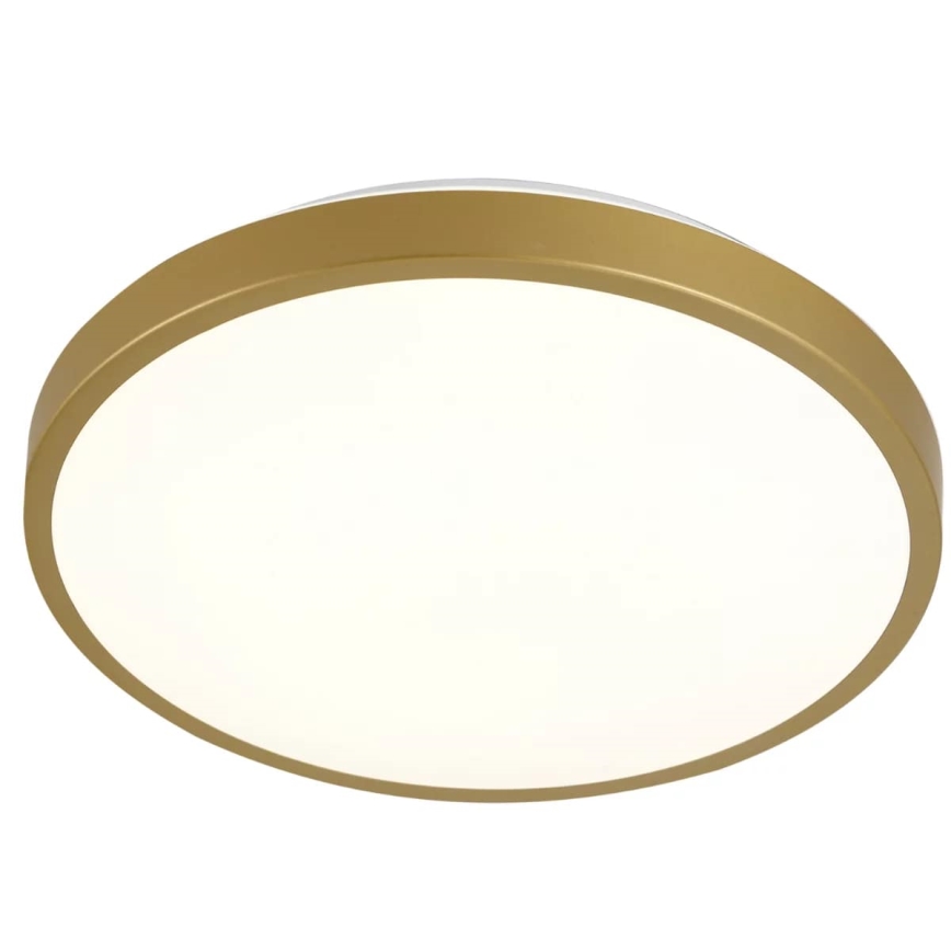LED Stropné svietidlo KERN LED/15W/230V pr. 29 cm