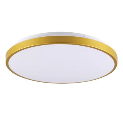 LED Stropné svietidlo KERN LED/15W/230V pr. 29 cm