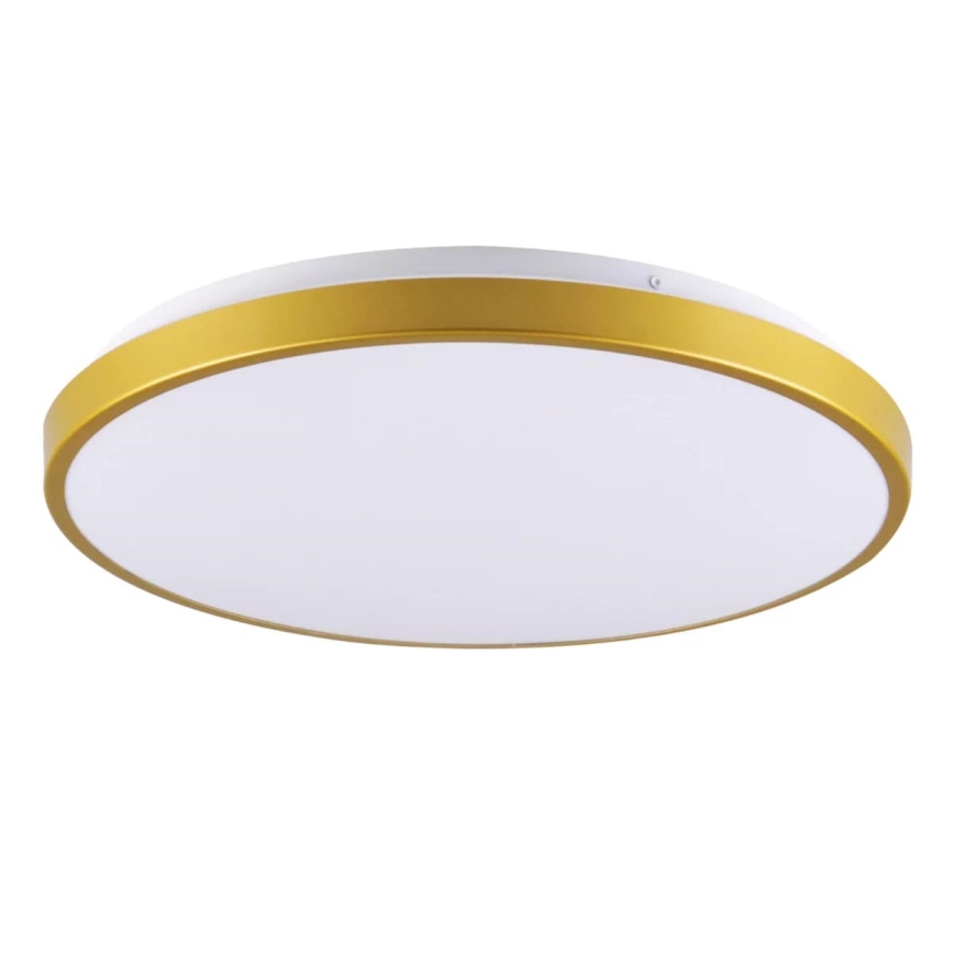 LED Stropné svietidlo KERN LED/15W/230V pr. 29 cm
