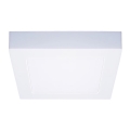 LED stropné svietidlo LED/12W/230V 3000/4000/6000K 17x17 cm biele