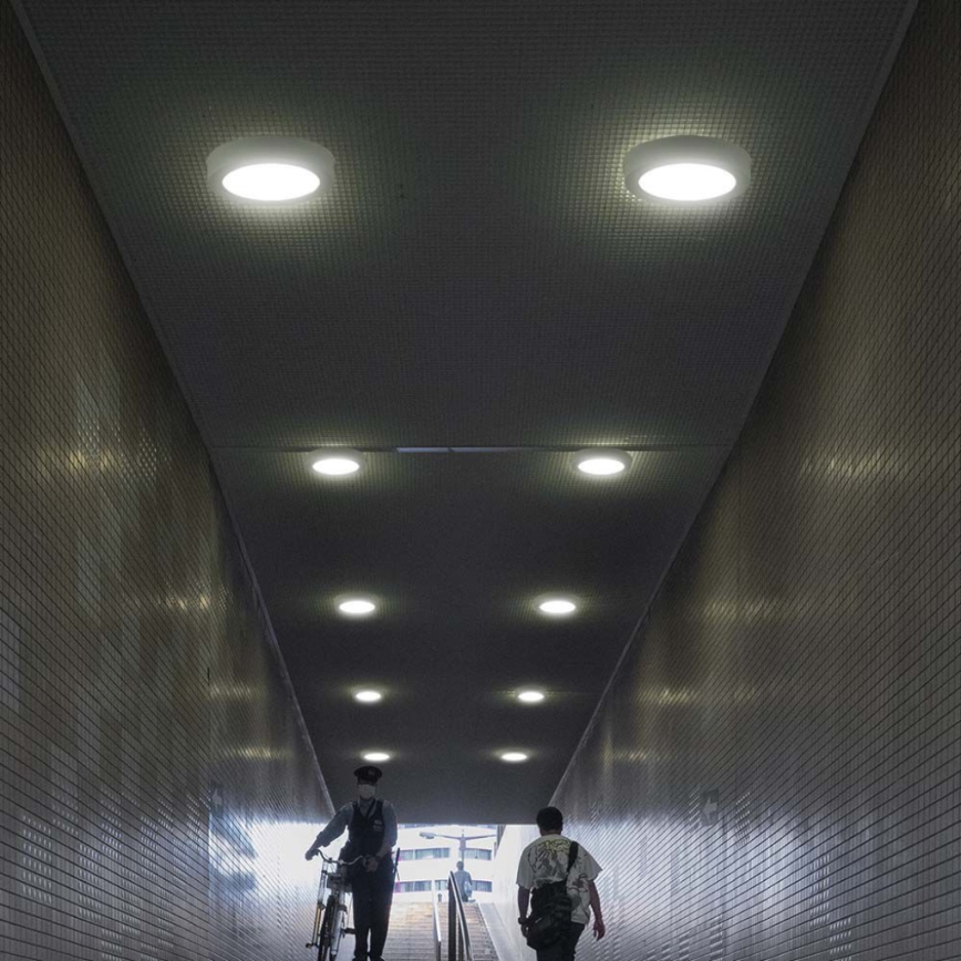 LED Stropné svietidlo LED/12W/230V 3000K pr. 16,7 cm biela