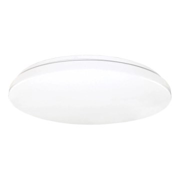 LED Stropné svietidlo LED/12W/230V 4000K pr. 21,5 cm biela+