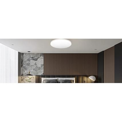 LED Stropné svietidlo LED/12W/230V 4000K pr. 21,5 cm biela+
