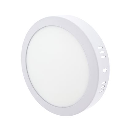 LED Stropné svietidlo LED/12W/230V 4200K pr. 16 cm biela