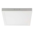 LED Stropné svietidlo LED/12W/230V 6500K 16,7x16,7 cm biela