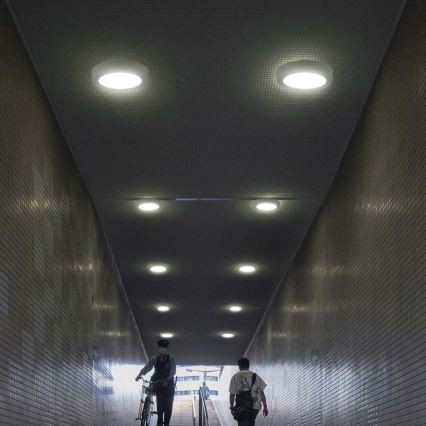 LED Stropné svietidlo LED/12W/230V 6500K pr. 16,7 cm biela