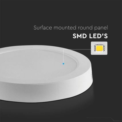 LED Stropné svietidlo LED/12W/230V 6500K pr. 16,7 cm biela
