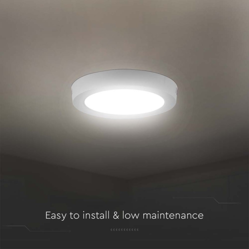 LED Stropné svietidlo LED/12W/230V 6500K pr. 16,7 cm biela