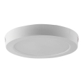 LED Stropné svietidlo LED/12W/230V 6500K pr. 16,7 cm biela