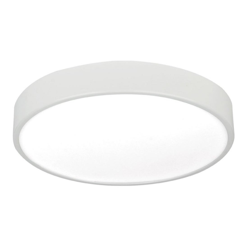 LED Stropné svietidlo LED/12W/230V