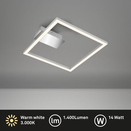 LED stropné svietidlo LED/14W/230V matný chróm