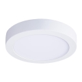 LED stropné svietidlo LED/18W/230V 3000/4000/6000K pr. 22,5 cm biele