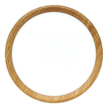 LED Stropné svietidlo LED/18W/230V 3000/4000/6500K pr. 23 cm béžová