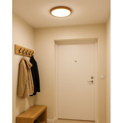 LED Stropné svietidlo LED/18W/230V 3000/4000/6500K pr. 23 cm béžová